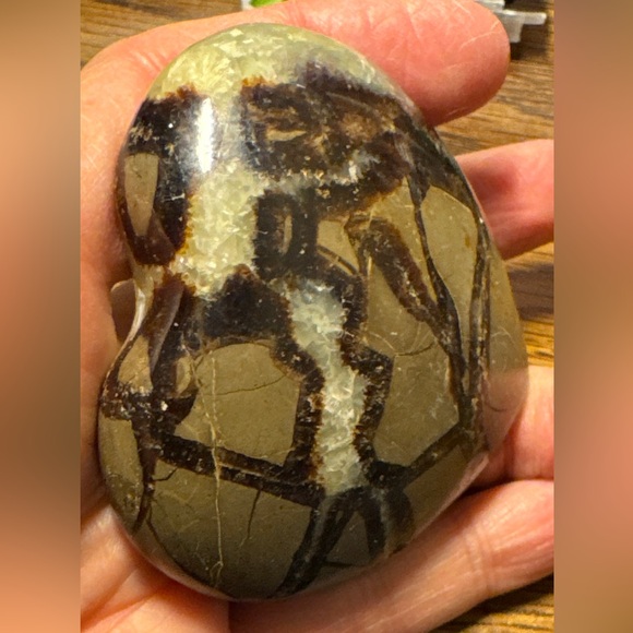 Beautiful Septarian heart shaped palm stone #2 - Picture 8 of 16